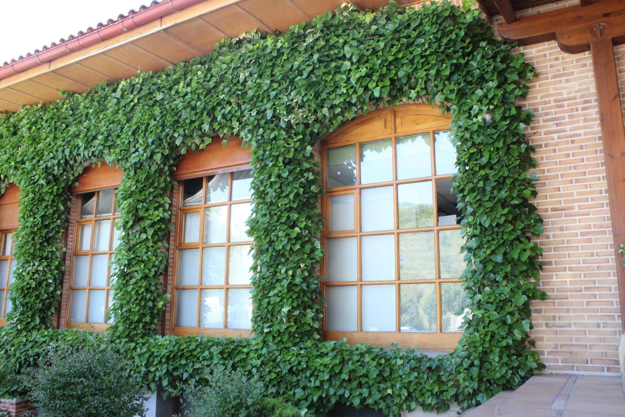Jakue Hostel *